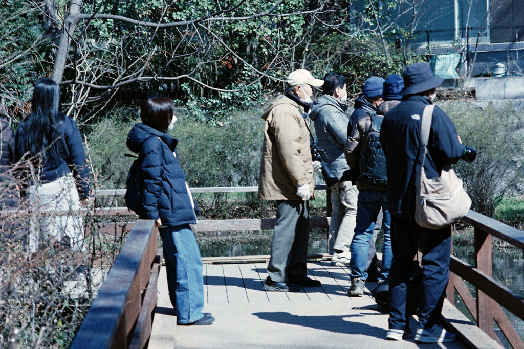 浮間公園③・3-2