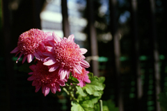 24exp.film・24-9