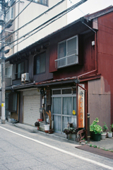 根津神社周辺2