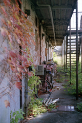 24exp.film・24-24