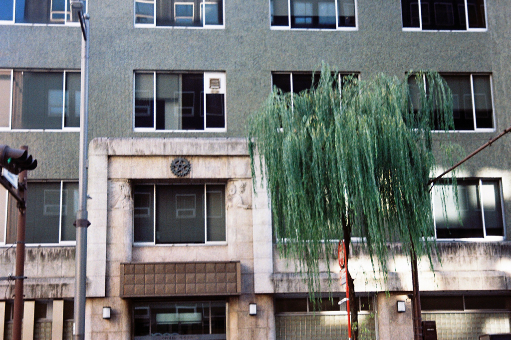 銀座の柳と...。