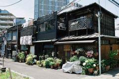 家と路地