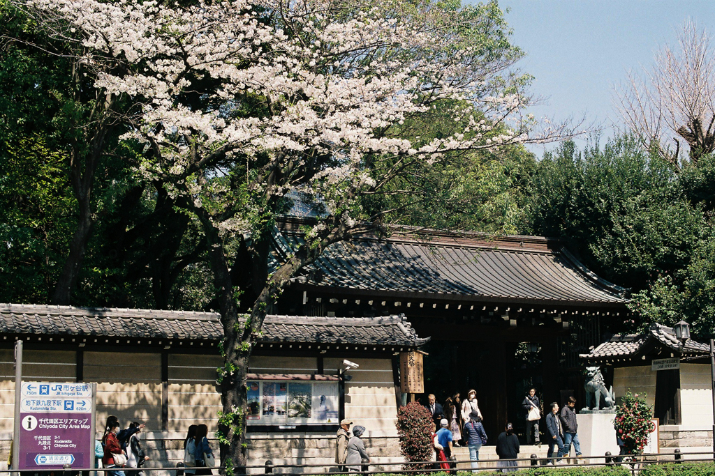 靖国神社・南門