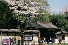 靖国神社・南門