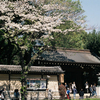靖国神社・南門