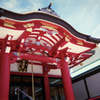 写ルンです5-2・西新宿成子天神社