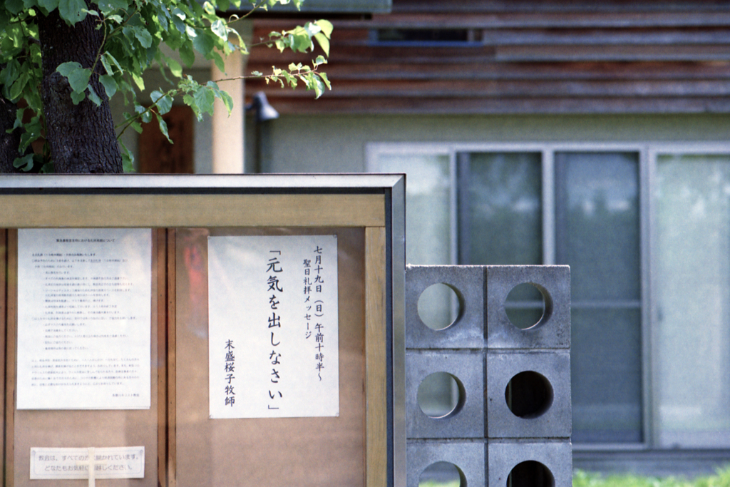 正面から
