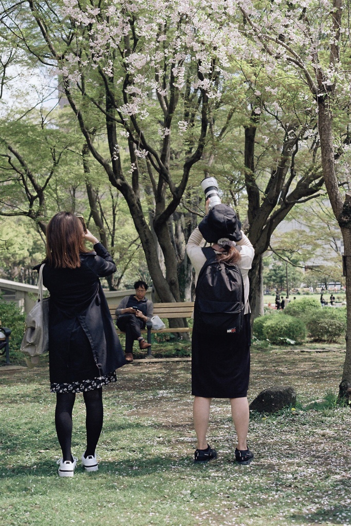 日比谷公園・Film No.25・枝垂れ桜とカメラ女子二人