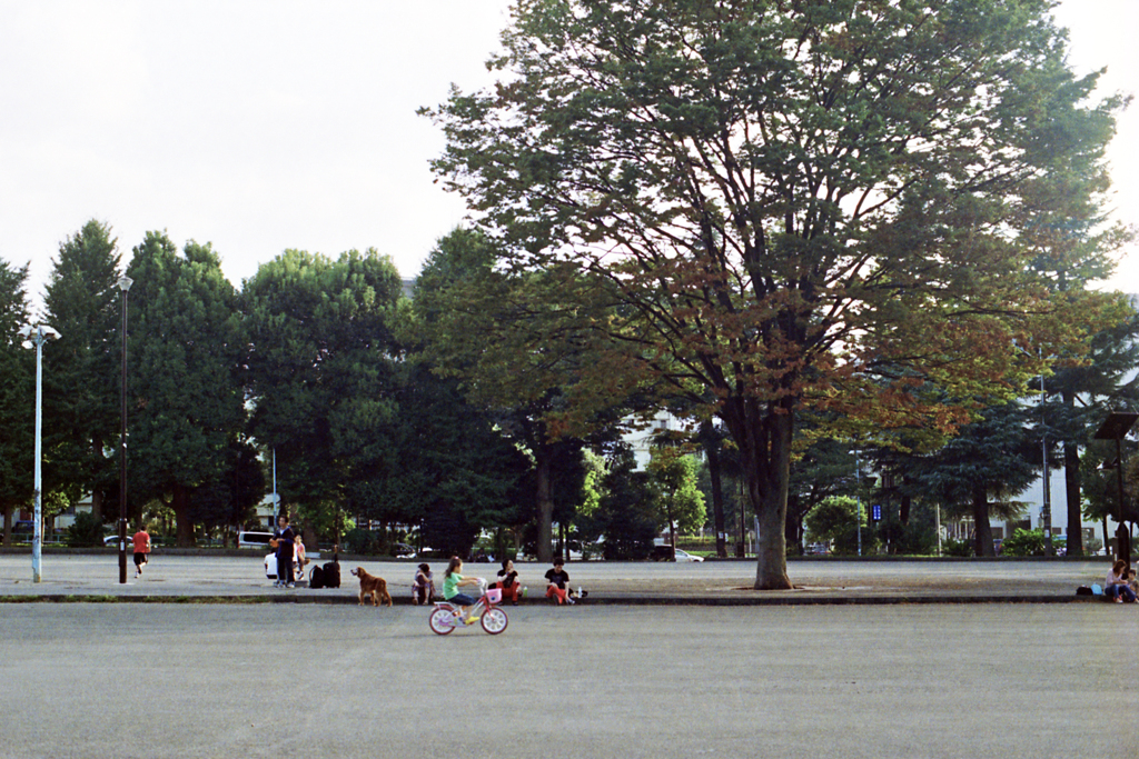 旧鎌倉街道を行く⑤・3-3(過去写真)