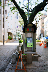 平成の物でも消える