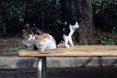 終わったら戻りました(過去写真)