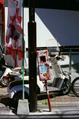 FTb+FL50/1.4試写5-2・頼ってます