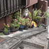 新宿区若葉町界隈⑩・3-3
