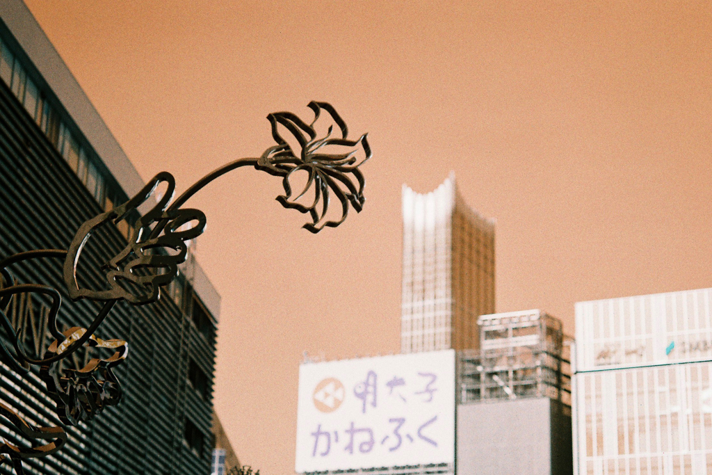 エフェクトフィルム③・2-2
