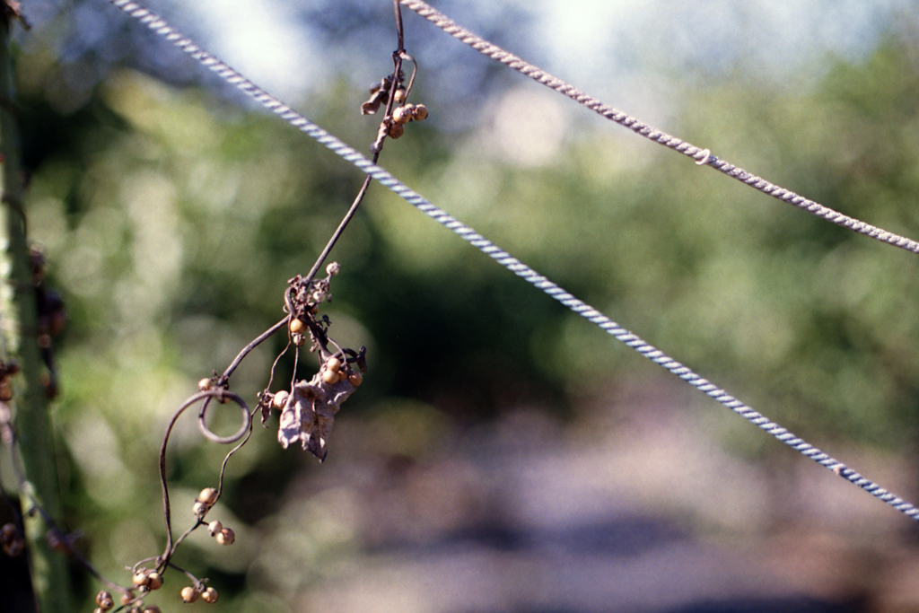 24exp.film・24-6