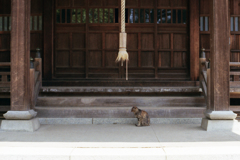 猫08・仕える