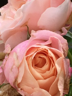 977DE58A-7F7C-445C-AA16-FC7140F966F8