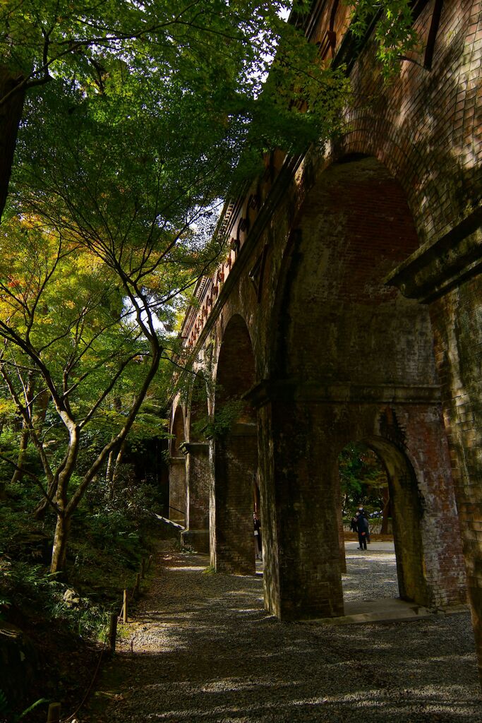 京都紅葉撮り8