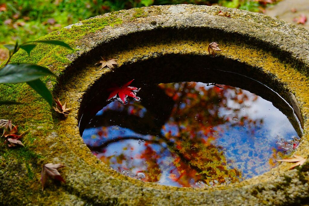 永観堂　禅林寺9