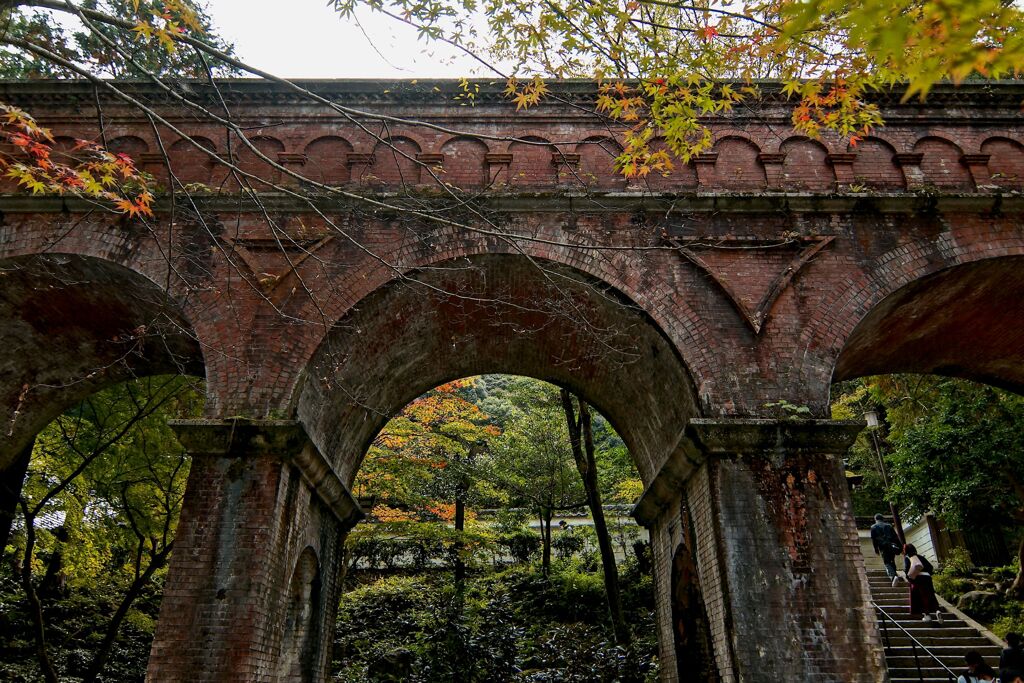 京都紅葉撮り16