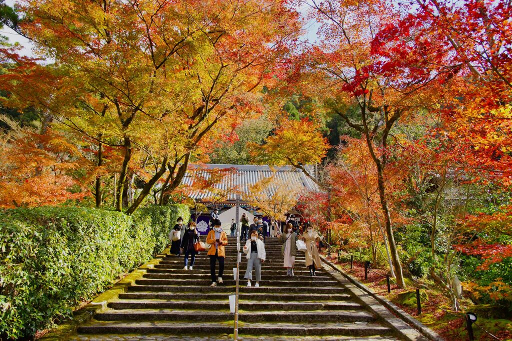 永観堂　禅林寺16