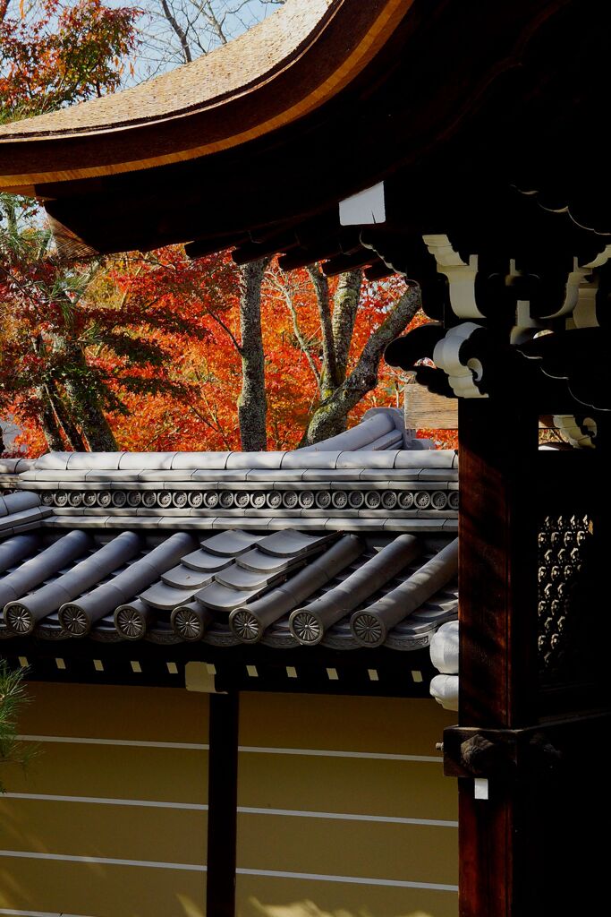 永観堂　禅林寺8
