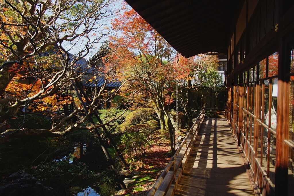 永観堂　禅林寺7