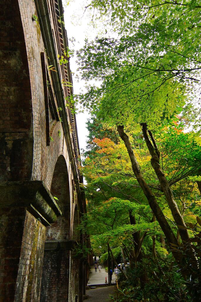京都紅葉撮り4
