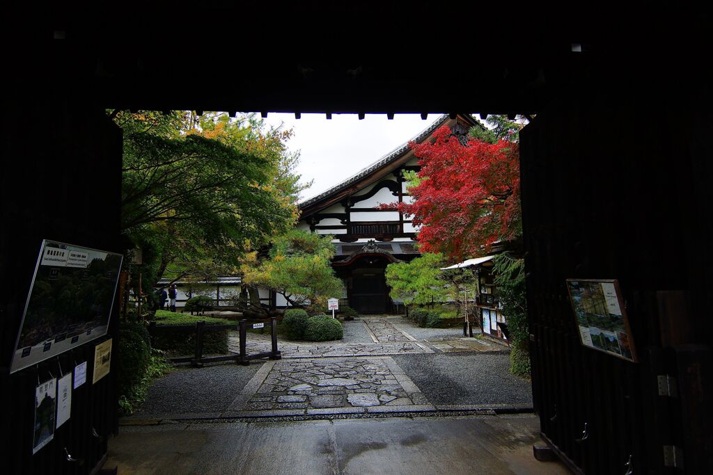 京都紅葉撮り１