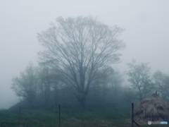 DSCF3066