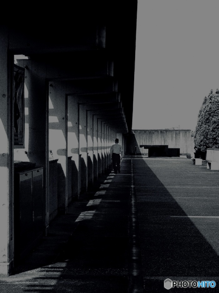 日差しを避けて