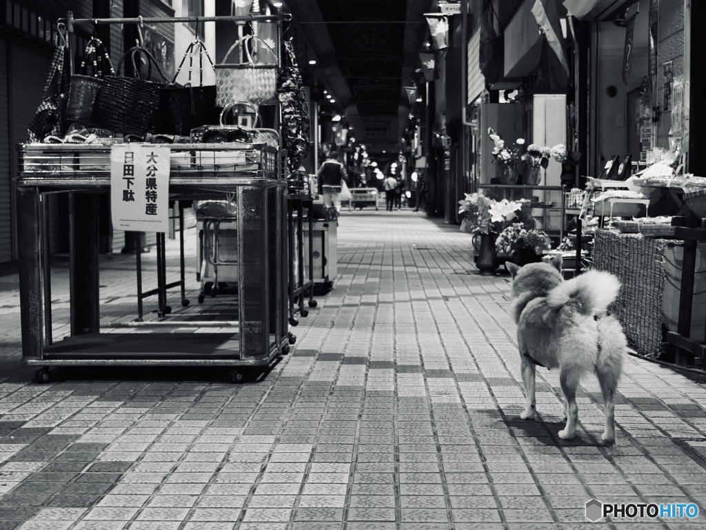 俺も連れてけ
