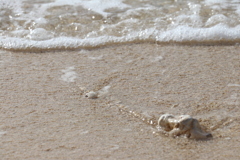 沖縄の砂浜