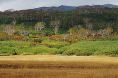 ラスト