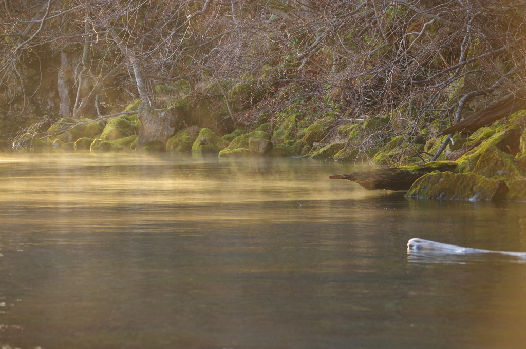 霧の出るところ