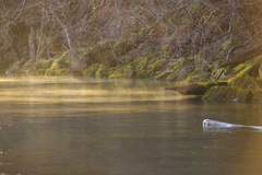 霧の出るところ