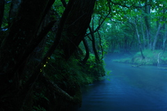 朝の川