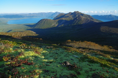 秋の山