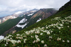 花咲く尾根