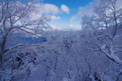 白い雲