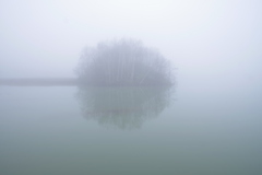 霧のダム湖