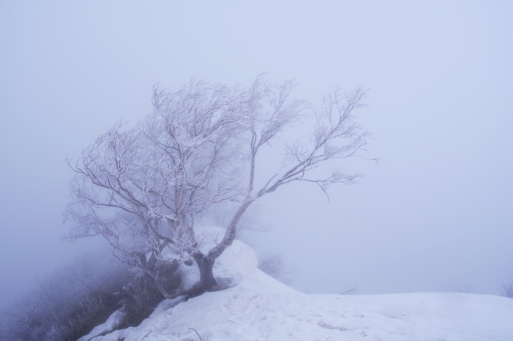 厳しい山