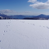 支笏湖の山