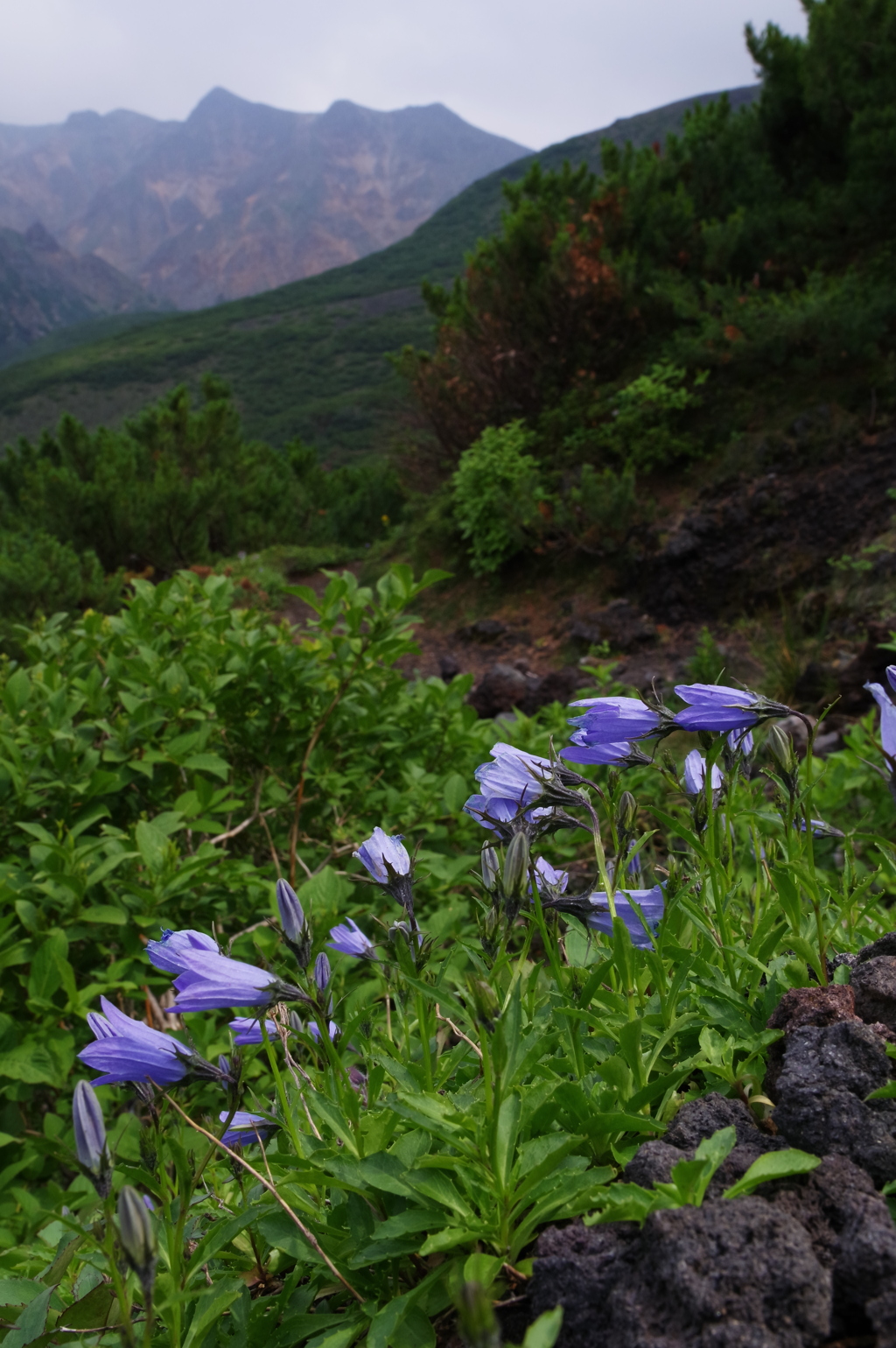火山