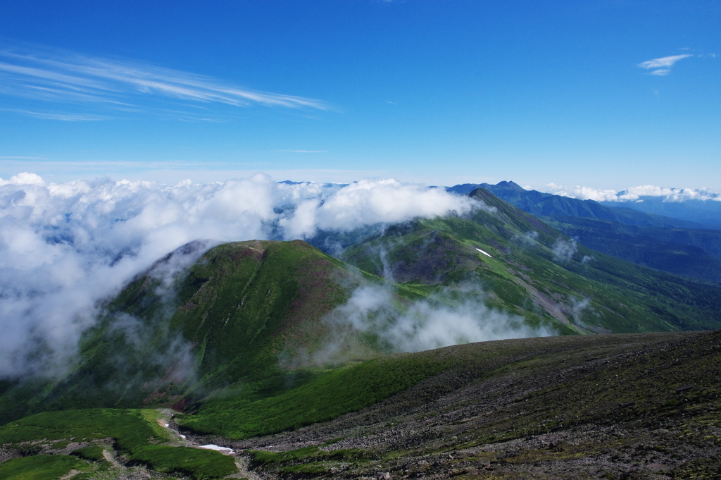 夏の尾根