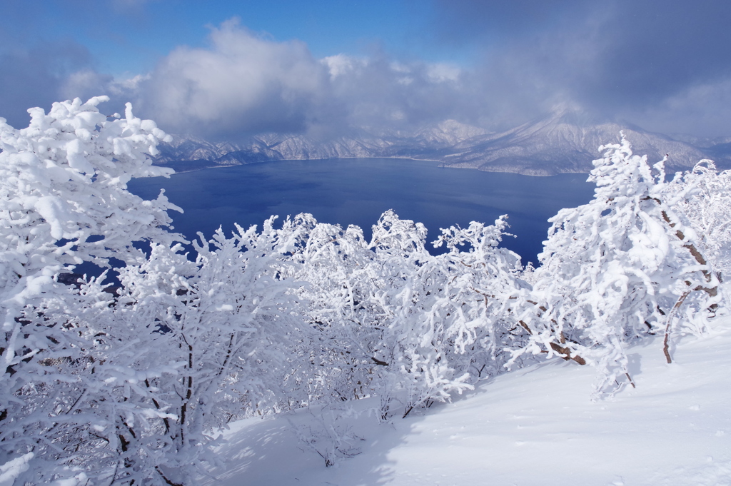 光る樹氷