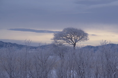 旧夕張川