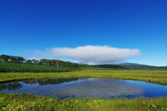 白い雲