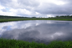 雲