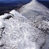 霧氷の山